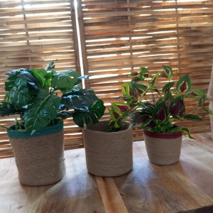Testos de jute